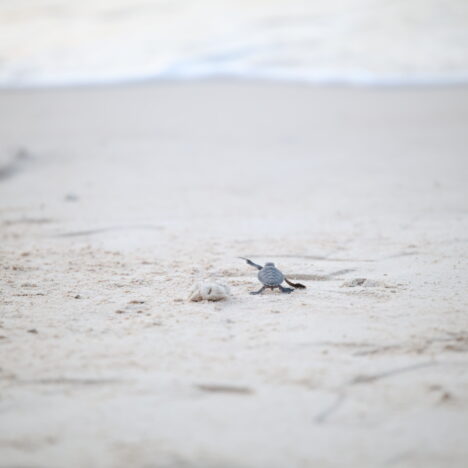 Itinéraire d&rsquo;un mois au Vietnam en famille