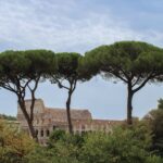photo du colisée de rome vu du mont palatin