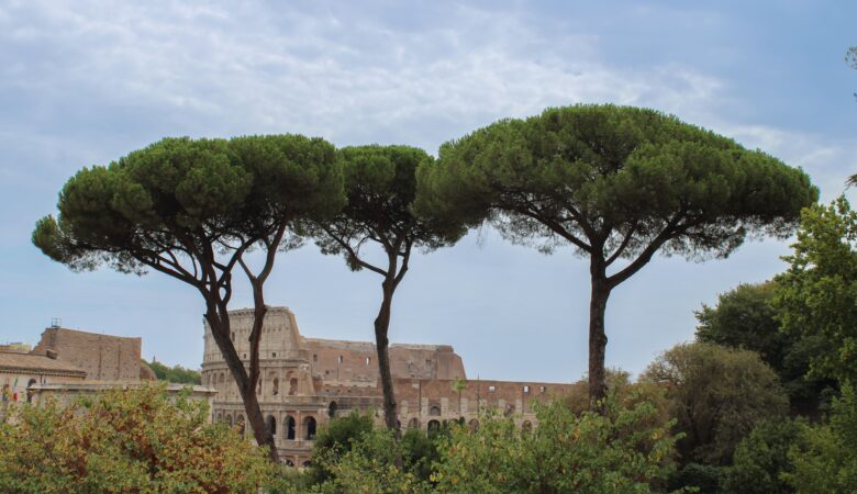 photo du colisée de rome vu du mont palatin