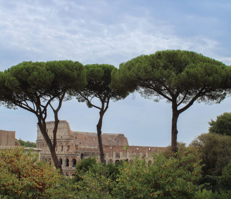 photo du colisée de rome vu du mont palatin