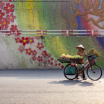 conseils avant de partir au vietnam