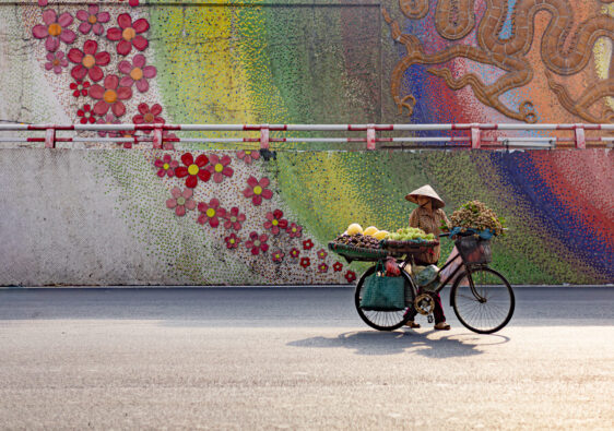 conseils avant de partir au vietnam