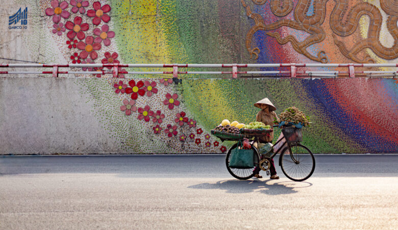 conseils avant de partir au vietnam