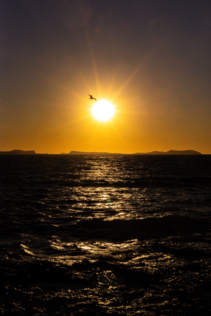 Ibiza en famille avec enfant : vraiment une bonne idée ? (que faire + conseils) coucher de soleil ibiza avec enfant