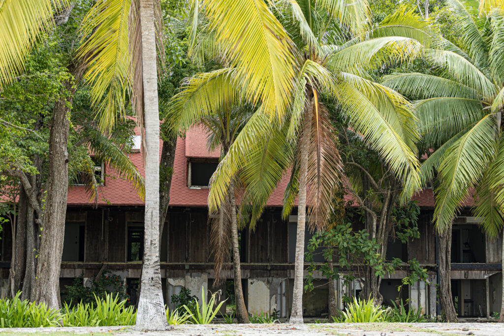 Isla Contadora : comment y aller, où loger, que faire? (Notre guide complet) img 4744