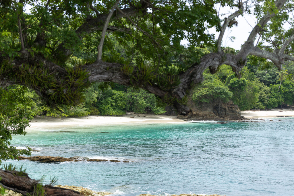 Isla Contadora : comment y aller, où loger, que faire? (Notre guide complet) img 4771