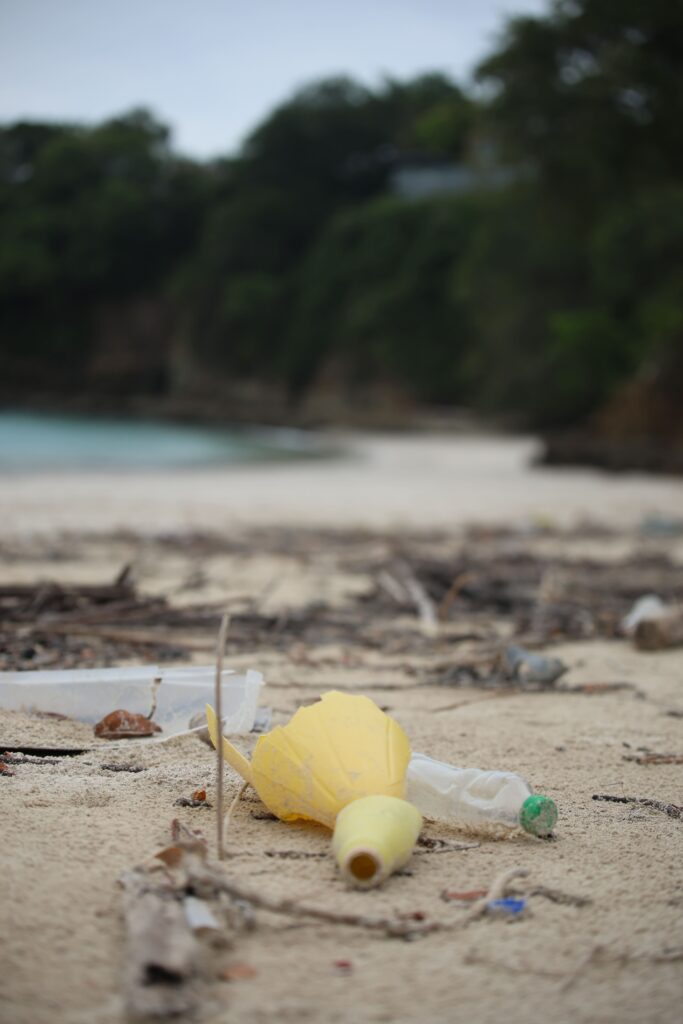 Isla Contadora : comment y aller, où loger, que faire? (Notre guide complet) img 4798