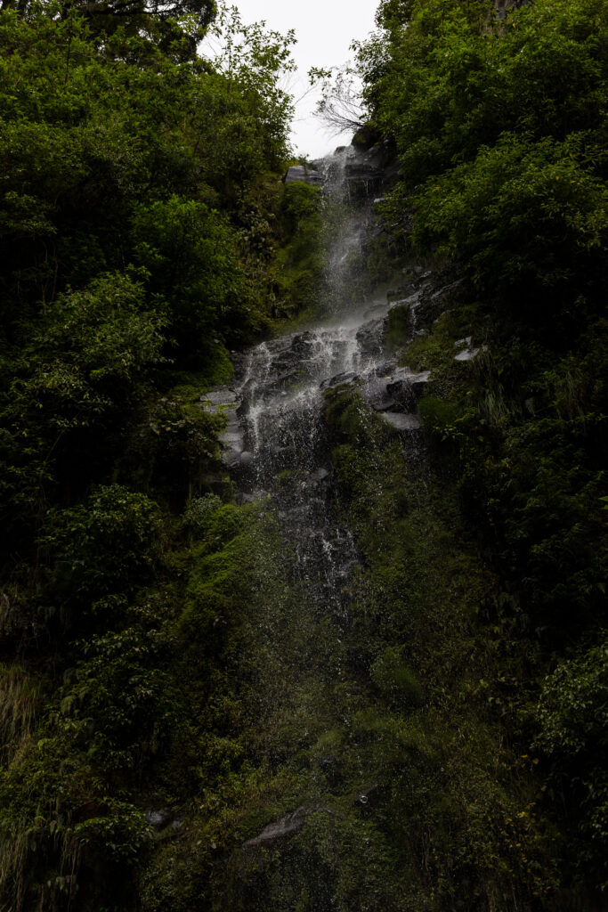 cascade a boquete
