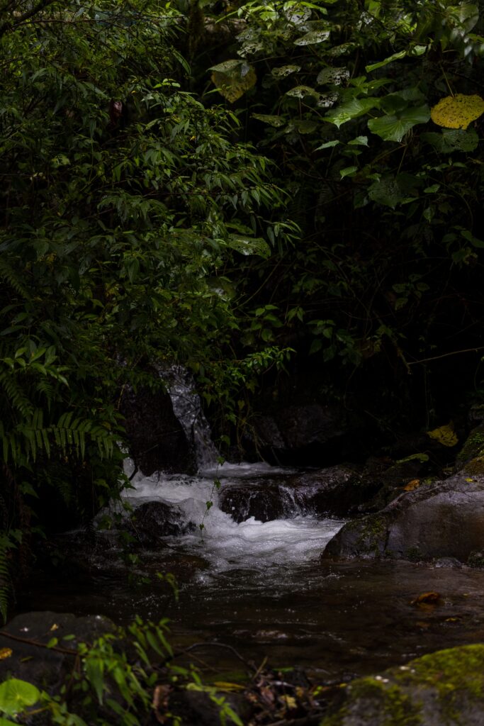 cascade boquete en famille