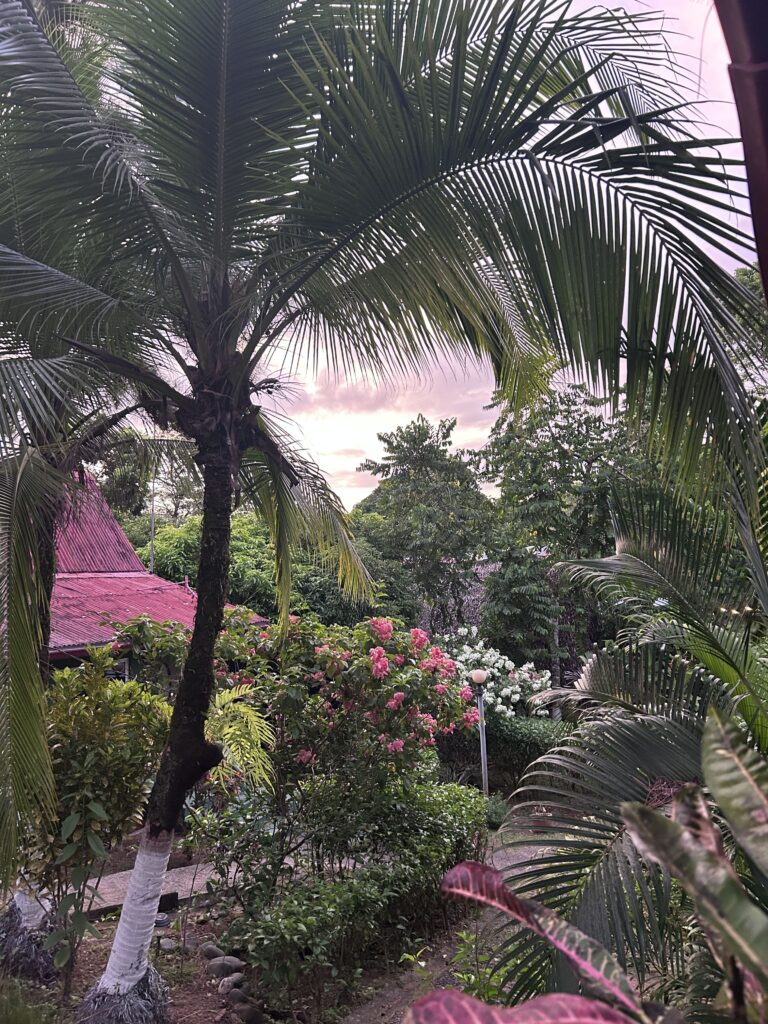 Une semaine sur la Sunset Coast (Torio) : que faire, où loger? jardin los pinos de torio