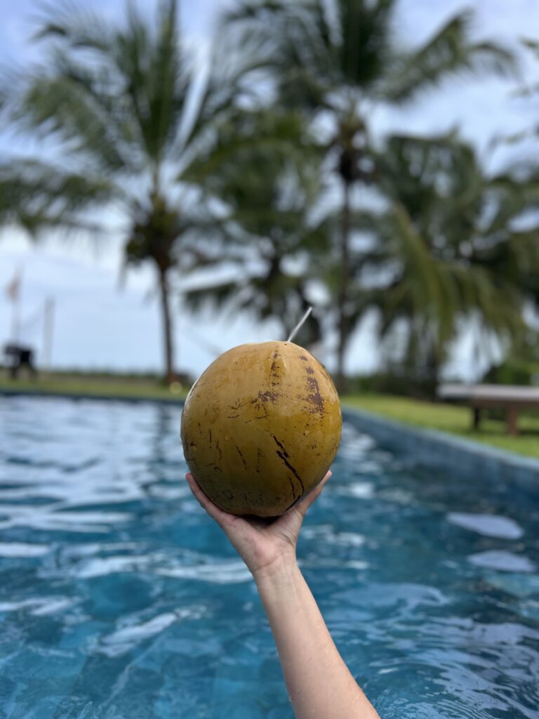 Une semaine sur la Sunset Coast (Torio) : que faire, où loger? noix de coco playa morrilo