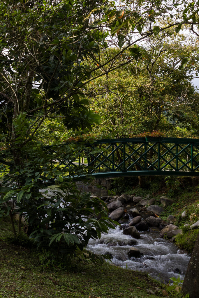 parc de boquete