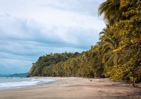 playa juan barra