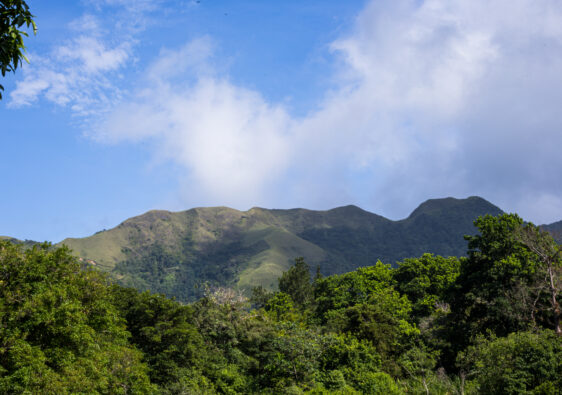 que faire a el valle del anton panama