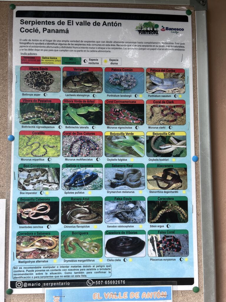 serpent a el valle del anton